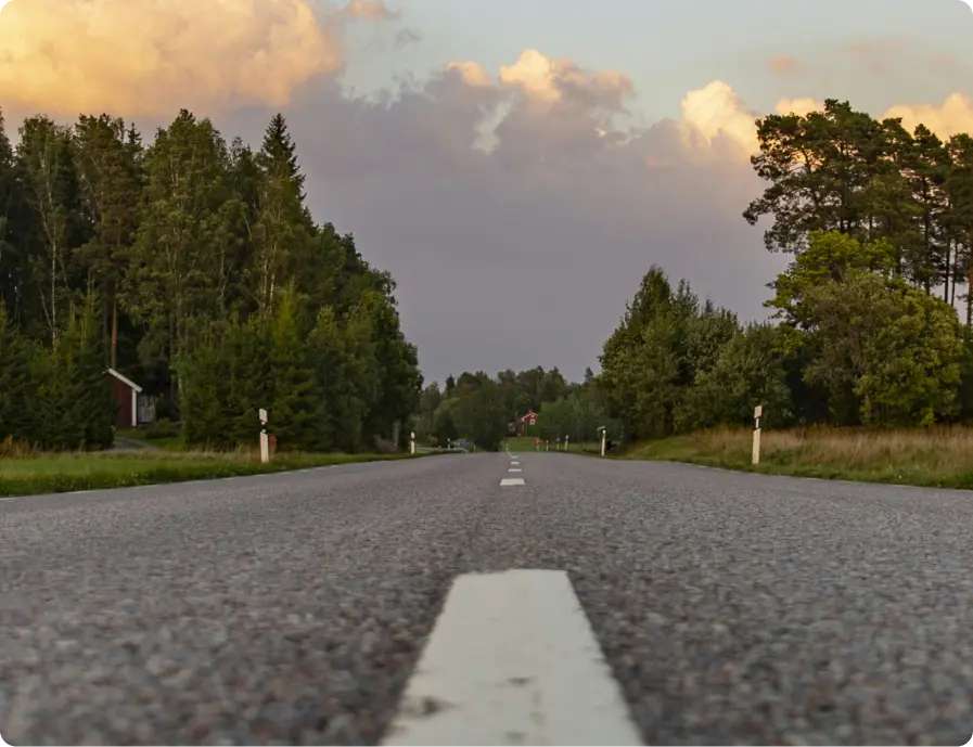 Road surrounded by trees and a cloudy sky